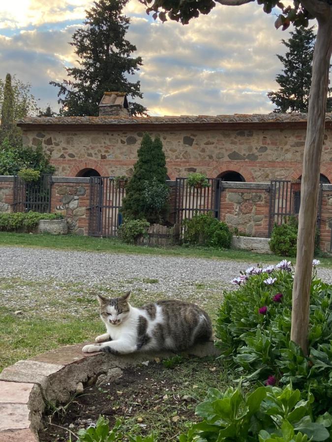 Agriturismo Il Pozzo Castiglione d'Orcia Exterior photo