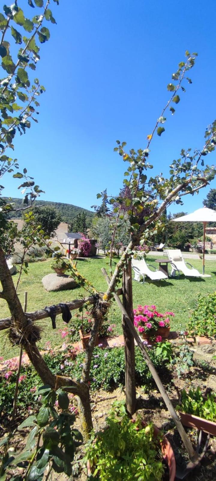 Agriturismo Il Pozzo Castiglione d'Orcia Exterior photo